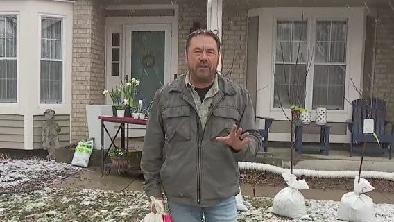 What to plant in Minnesota in April