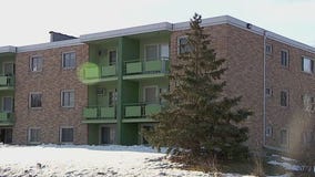 Boy shot in head, 13-year-old, adult arrested