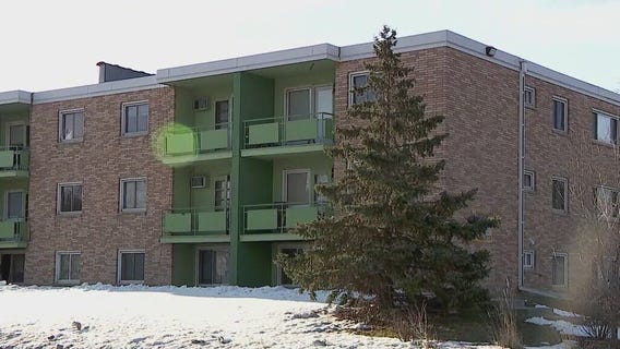 Boy shot in head, 13-year-old, adult arrested