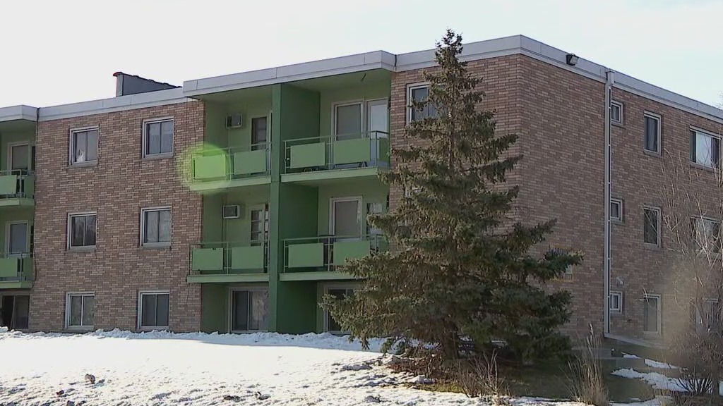 Boy shot in head, 13-year-old, adult arrested