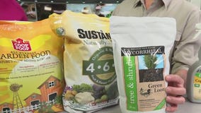 Tips for making your plants thrive: Garden Guy