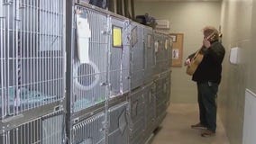 New program bringing musicians to Minneapolis animal shelter