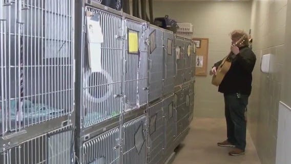 New program bringing musicians to Minneapolis animal shelter