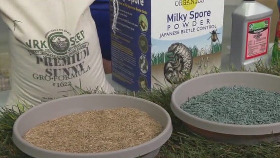 Tips for getting your lawn ready for spring