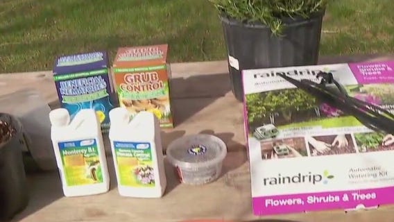 Useful tips to help your plants thrive