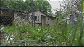 Long Island zombie homes