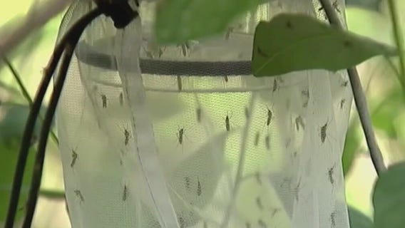 Mosquito control efforts underway in MN