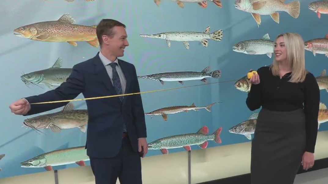 Species added to catch and release MN records