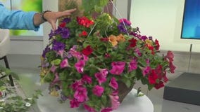 Gift ideas for your favorite gardener