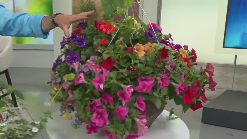 Gift ideas for your favorite gardener