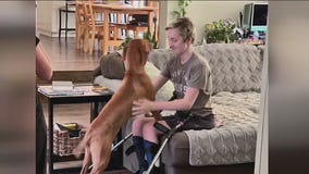 Bemidji teen's health fight after bug bites