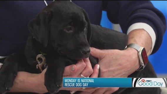 FOX 9 Good Day: May 17, 2024