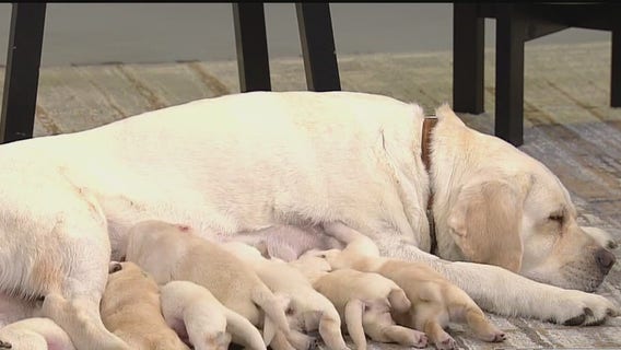 FOX 9 Good Day: May 24, 2024