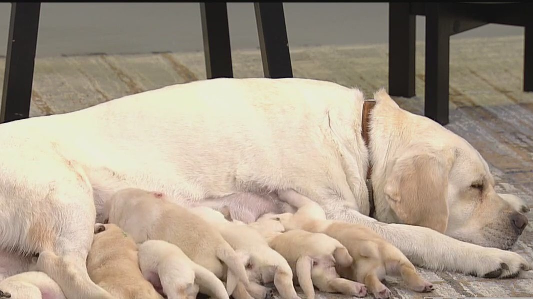 FOX 9 Good Day: May 24, 2024