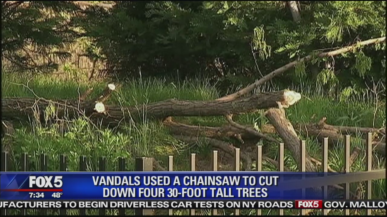 Trump Bronx Golf Course Vandalized