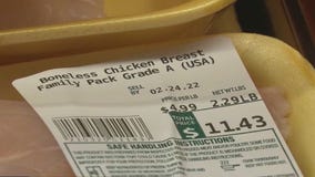 Report points to 'soft landing' for US economy