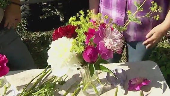 Peony season in full bloom: Garden Guy