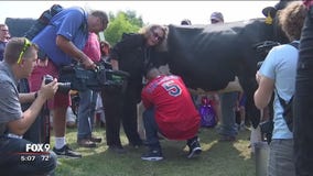 Twins test milking skills at State Fair