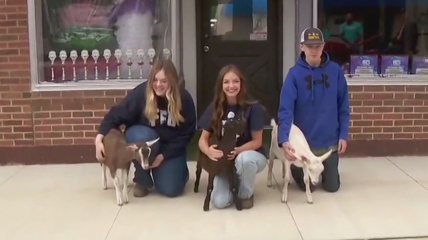 Farmington Dew Days preps for 45th year