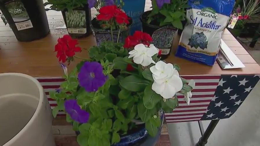 FOX 9 Good Day: July 4, 2024