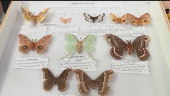 FOX 9 Good Day: July 16, 2024