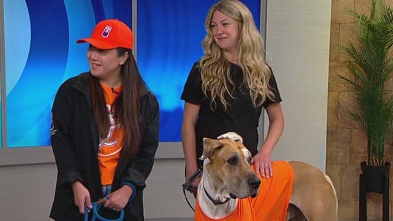 FOX 9 Good Day: July 11, 2024