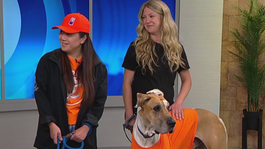 FOX 9 Good Day: July 11, 2024