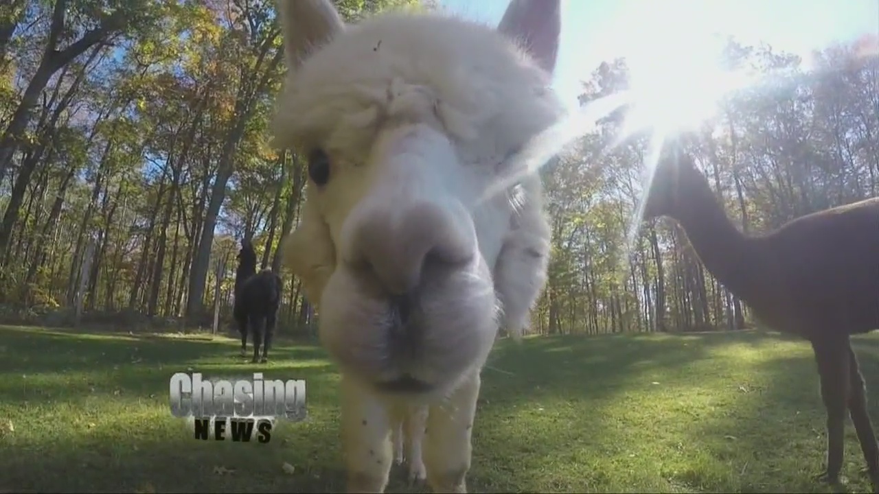 Local farm dedicated to help mentally ill find new skills