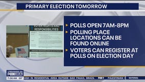 MN primary election: Everything you need to know