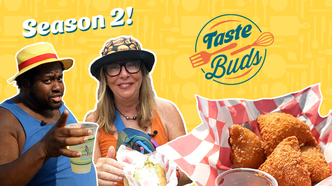 MN State Fair, Nur-D and new recipes: Taste Buds