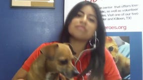 Pet of the Weekend: Gonzo