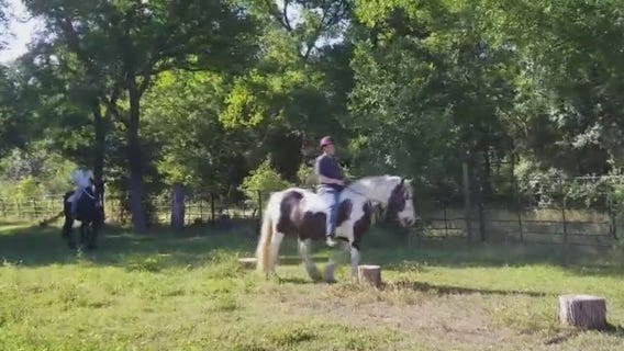Healing with Horses in Manor helps veterans struggling with PTSD