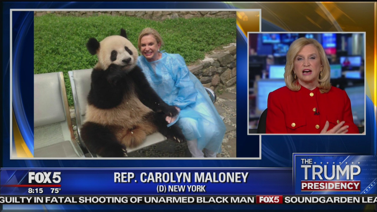Rep. Carolyn Maloney (D-NY)