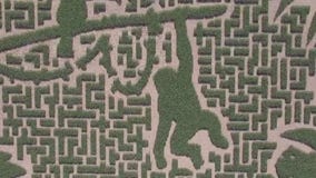 It?s Fall Festival Season in the Twin Cities