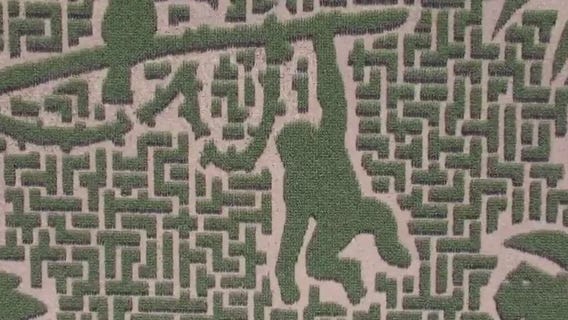 It?s Fall Festival Season in the Twin Cities