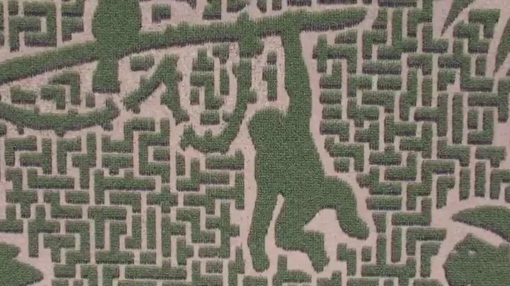 It?s Fall Festival Season in the Twin Cities