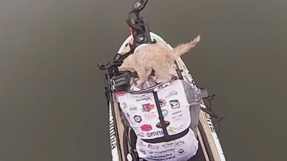 MN angler catches cat while fishing