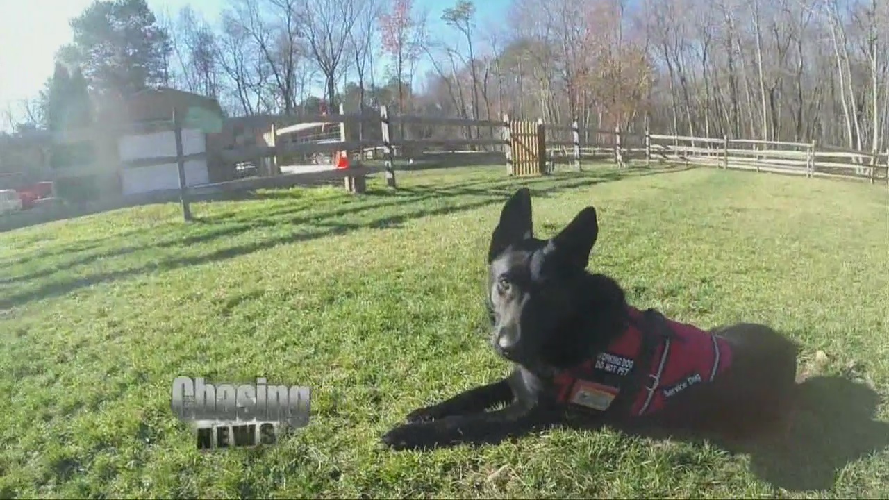 Army veteran turned away from restaurant due to ?no dog policy?