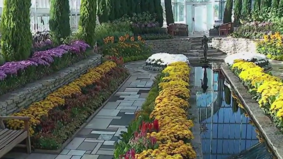 Fall Flower show at Como Conservatory