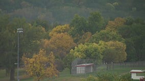 Dry September decreases amount of fall colors