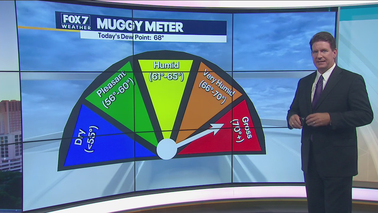Morning weather forecast for August 10, 2021