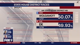 Minnesota House election results so far
