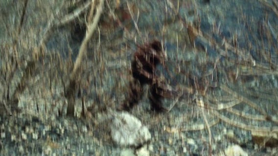 Bigfoot is teaming up with two local institutions