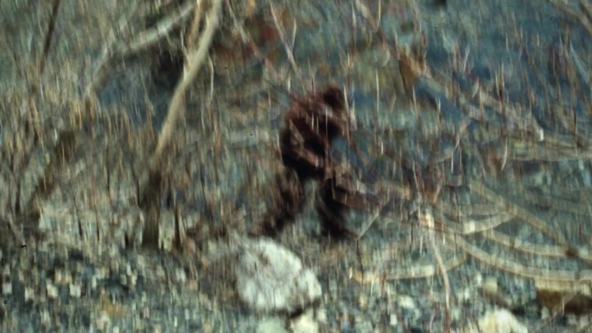 Bigfoot is teaming up with two local institutions