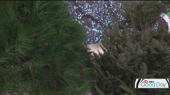 FOX 9 Good Day: Dec. 3, 2024