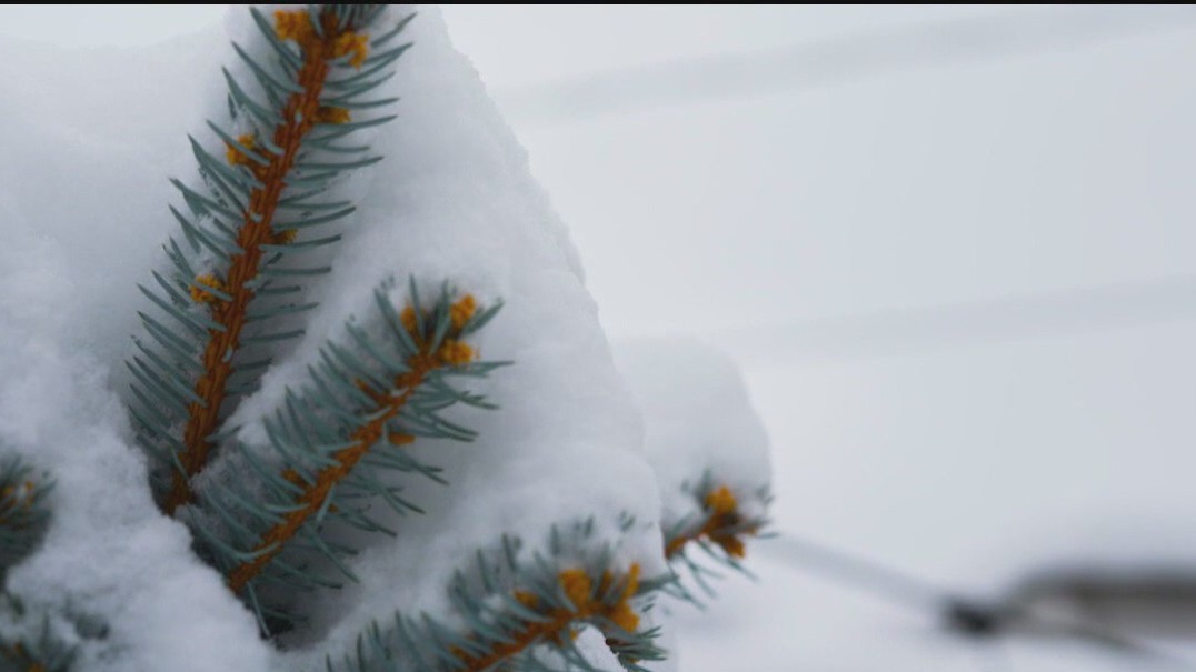 MN weather: First large snowstorm of the season