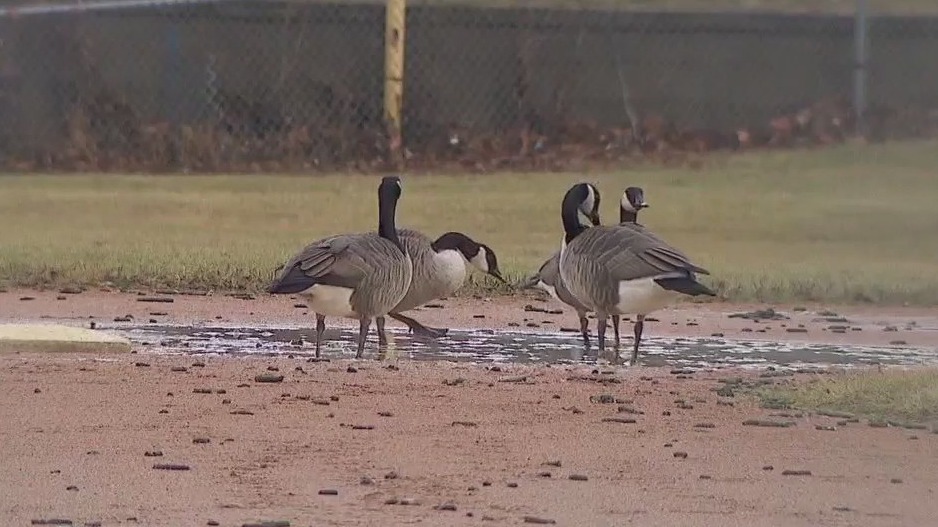 Where did winter go? | FOX 9 Minneapolis-St. Paul