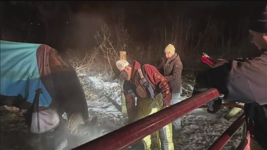 Hugo firefighters come to rescue for horses