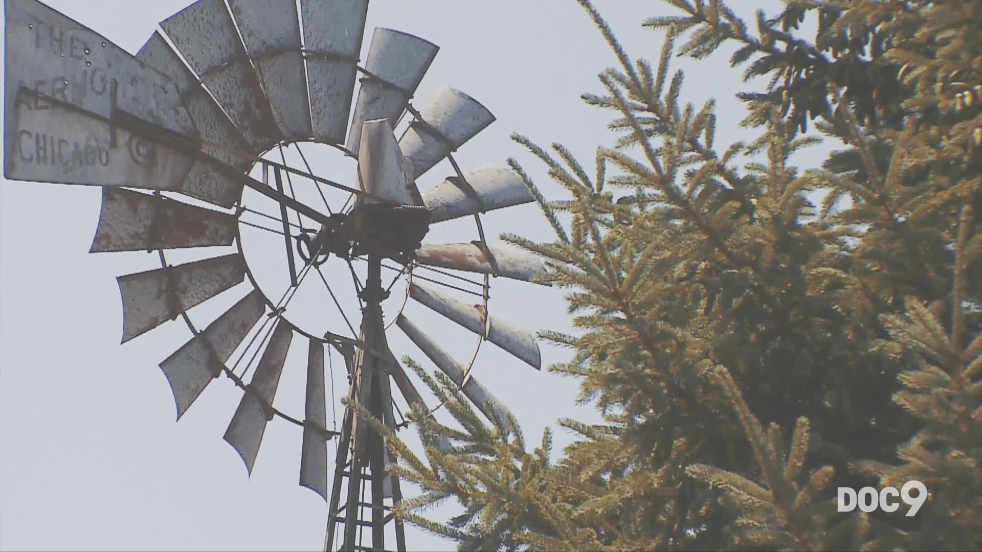 The Little Log House: Doc 9