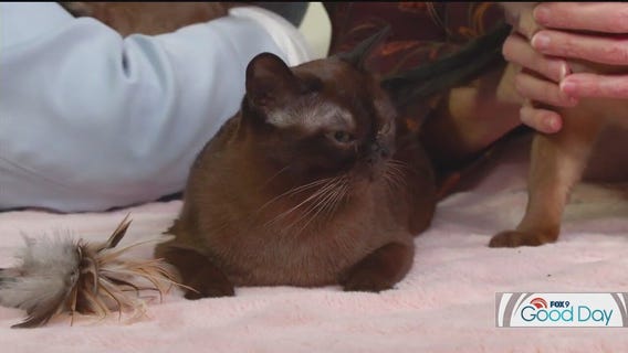 FOX 9 Good Day: Jan. 24, 2025